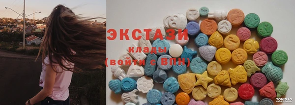 тгк Дмитриев