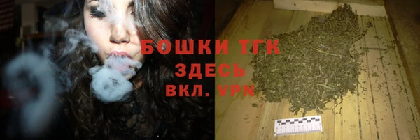 тгк Дмитриев