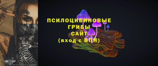 тгк Дмитриев