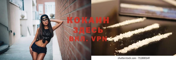 тгк Дмитриев