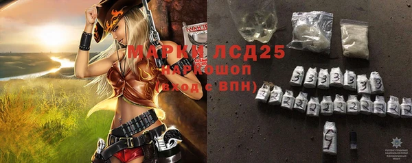 тгк Дмитриев