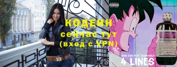 тгк Дмитриев