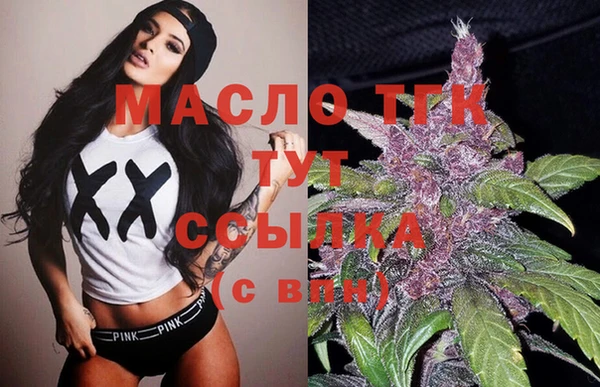 тгк Дмитриев