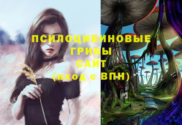меф Гусев