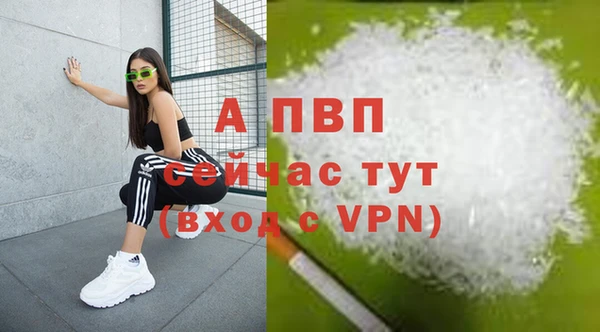 тгк Дмитриев