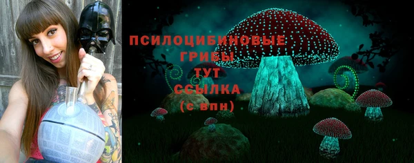 тгк Гусь-Хрустальный