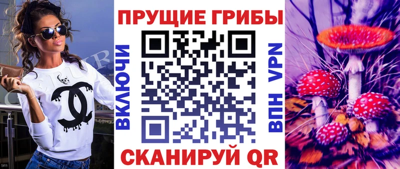 Галлюциногенные грибы MAGIC MUSHROOMS  Гусев 